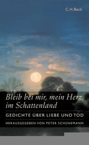 Cover von Bleib bei mir, mein Herz, im Schattenland