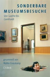Cover von Sonderbare Museumsbesuche