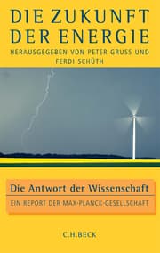 Cover von Die Zukunft der Energie