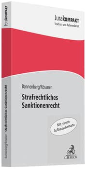 Cover von Strafrechtliches Sanktionenrecht