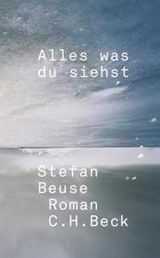 Cover von Alles was du siehst