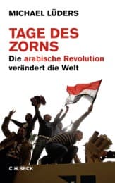 Cover von Tage des Zorns