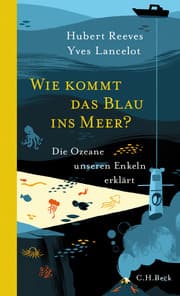 Cover von Wie kommt das Blau ins Meer?