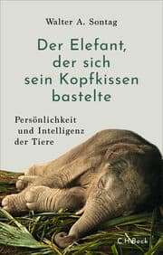 Cover von Der Elefant, der sich sein Kopfkissen bastelte