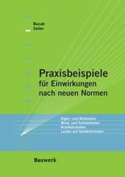 Cover von Praxisbeispiele für Einwirkungen nach neuen Normen