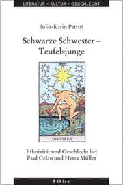 Cover von Schwarze Schwester - Teufelsjunge