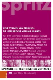 Cover von Die Literarische Vielfalt Irlands
