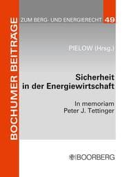 Cover von Sicherheit in der Energiewirtschaft