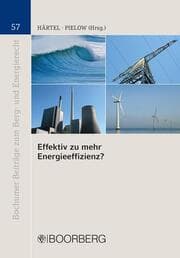 Cover von Effektiv zu mehr Energieeffizienz?