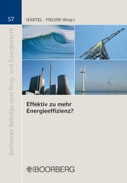 Cover von Effektiv zu mehr Energieeffizienz?