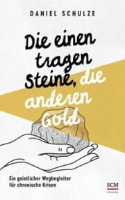Cover von Die einen tragen Steine, die anderen Gold