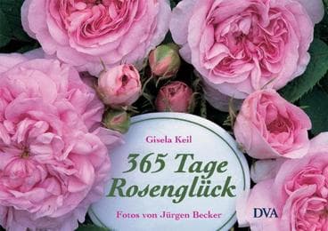 Cover von 365 Tage Rosenglück