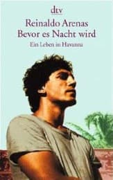 Cover von Bevor es Nacht wird