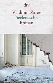 Cover von Seelenasche