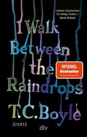 Cover von I Walk Between the Raindrops