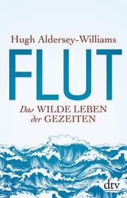 Cover von Flut