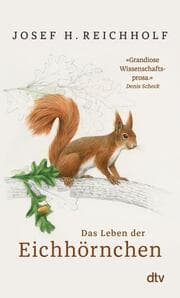 Cover von Das Leben der Eichhörnchen