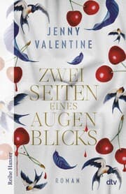 Cover von Zwei Seiten eines Augenblicks