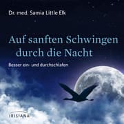 Cover von Auf sanften Schwingen durch die Nacht