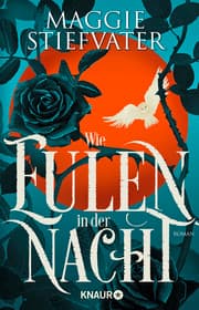 Cover von Wie Eulen in der Nacht