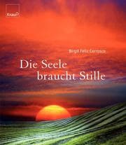 Cover von Die Seele braucht Stille
