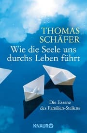 Cover von Wie die Seele uns durchs Leben führt