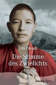 Cover von Die Stimme des Zwielichts