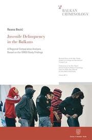 Cover von Juvenile Delinquency in the Balkans.