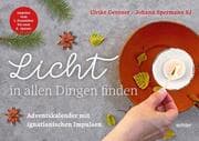 Cover von Licht in allen Dingen finden