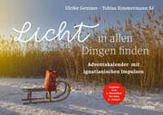Cover von Licht in allen Dingen finden