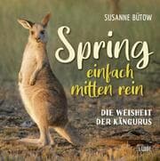 Cover von Spring einfach mitten rein
