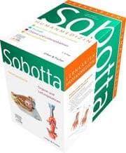 Cover von Sobotta Lernkarten Humanmedizin