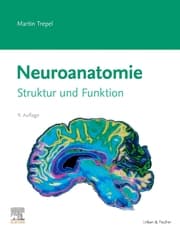 Cover von Neuroanatomie