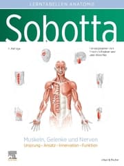 Cover von Sobotta Lerntabellen Anatomie Muskeln, Gelenke und Nerven