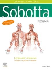 Cover von Sobotta Lernposter Anatomie