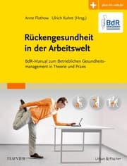 Cover von BdR-Manual Rückengesundheit in der Arbeitswelt
