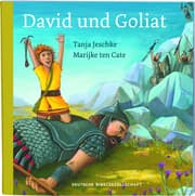 Cover von David und Goliat