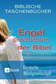 Cover von Engelgeschichten der Bibel
