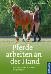 Cover von Pferde arbeiten an der Hand