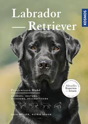 Cover von Labrador Retriever