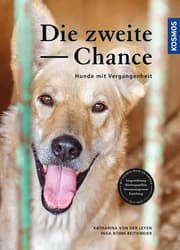 Cover von Die zweite Chance