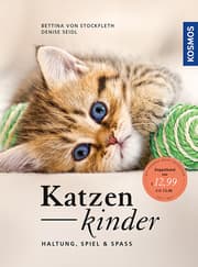 Cover von Katzenkinder