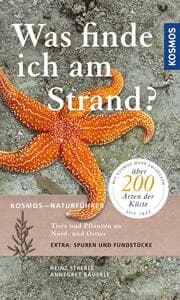 Cover von Was finde ich am Strand?