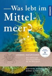 Cover von Was lebt im Mittelmeer