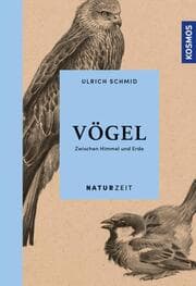 Cover von Vögel