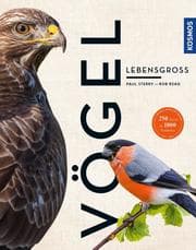 Cover von Vögel lebensgroß