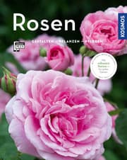 Cover von Rosen