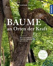 Cover von Bäume an Orten der Kraft