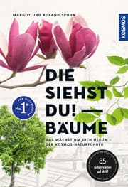 Cover von Die siehst du! Bäume