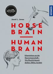 Cover von Horse Brain, Human Brain